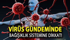 Virüs gündeminde bağışıklık sistemine dikkat!