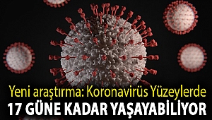 Yeni araştırma: Koronavirüs yüzeylerde 17 güne kadar yaşayabiliyor
