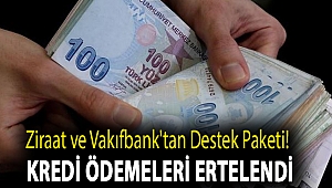 Ziraat ve Vakıfbank'tan koronavirüse karşı destek paketi! Kredi ödemeleri ertelendi