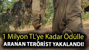 1 milyon TL’ye kadar ödülle aranan terörist yakalandı!