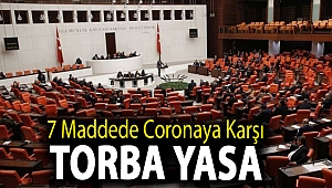 7 maddede coronaya karşı torba yasa