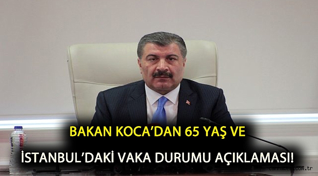 Bakan Koca'dan 65 yaş ve İstanbul'daki vaka durumu açıklaması!