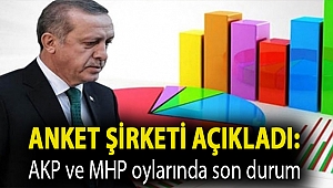 Anket şirketi açıkladı: AKP, MHP, CHP, İYİ Parti, Babacan, Davutoğlu'da son durum