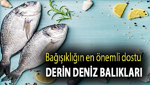 Bağışıklığın en önemli dostu derin deniz balıkları