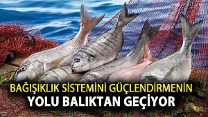 Bağışıklık sistemini güçlendirmenin yolu balıktan geçiyor