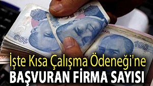 Bakan Selçuk Kısa Çalışma Ödeneği'ne başvuran firma sayısını açıkladı
