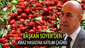 Başkan Soyer’den kiraz hasadına katılım çağrısı