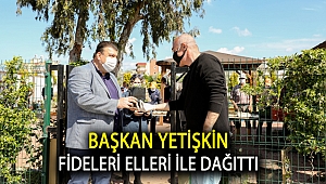 Başkan Yetişkin fideleri elleri ile dağıttı