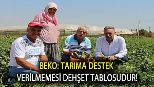 Beko: Tarıma destek verilmemesi dehşet tablosudur!