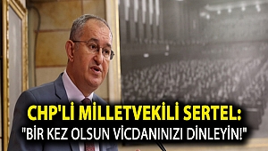 CHP'li Milletvekili Sertel: