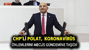 CHP’li Polat, koronavirüs önlemlerini Meclis gündemine taşıdı!