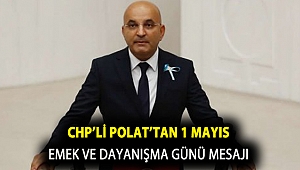 CHP’li Polat’tan 1 Mayıs Emek ve Dayanışma günü mesajı
