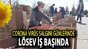 CORONA VİRÜS SALGINI GÜNLERİNDE LÖSEV İŞ BAŞINDA