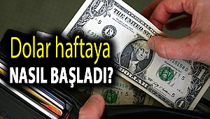 Dolar haftaya nasıl başladı?