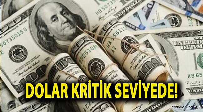 Dolar kritik seviyede!