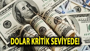 Dolar kritik seviyede!