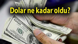 Dolar ne kadar oldu?