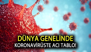 Dünya genelinde koronavirüste acı tablo!