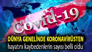 Dünya genelinde koronavirüsten hayatını kaybedenlerin sayısı belli oldu