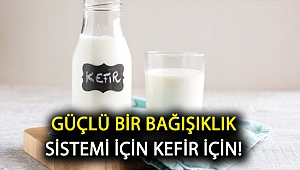 Güçlü bir bağışıklık sistemi için kefir için