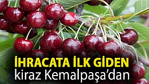 İhracata ilk giden kiraz Kemalpaşa’dan