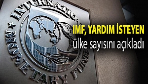 IMF, yardım isteyen ülke sayısını açıkladı