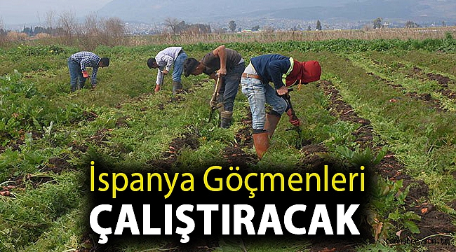 İspanya göçmenleri çalıştıracak