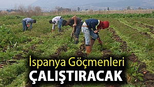İspanya göçmenleri çalıştıracak