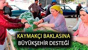 Kaymakçı baklasına Büyükşehir desteği