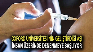 Oxford Üniversitesi'nin geliştirdiği aşı insan üzerinde denenmeye başlıyor