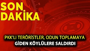 PKK'lı teröristler, odun toplamaya giden köylülere saldırdı
