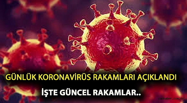 Sağlık Bakanı Koca Koronavirüsün 29 Nisan 2020 tablosunu açıkladı