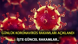 Sağlık Bakanı Koca Koronavirüsün 29 Nisan 2020 tablosunu açıkladı