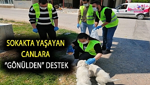 Sokakta yaşayan canlara “gönülden” destek