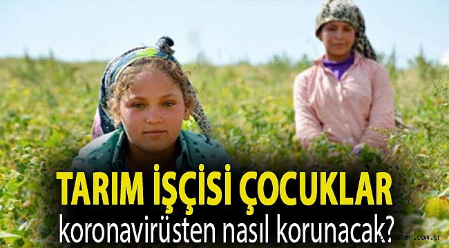 Tarım işçisi çocuklar koronavirüsten nasıl korunacak?