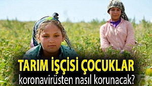 Tarım işçisi çocuklar koronavirüsten nasıl korunacak?