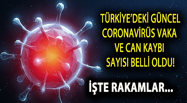Türkiye'deki güncel koronavirüs vaka ve can kaybı sayısı açıklandı