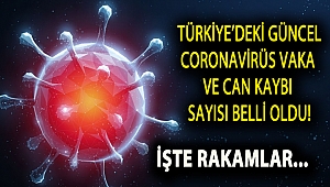 Türkiye'deki güncel koronavirüs vaka ve can kaybı sayısı açıklandı