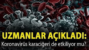 Uzmanlar açıkladı: Koronavirüs karaciğeri de etkiliyor mu?
