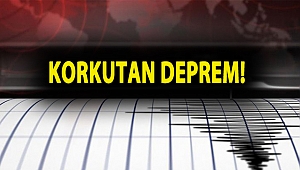 Van'da 4.9 şiddetinde deprem oldu!