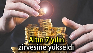 Altın 7 yılın zirvesine yükseldi