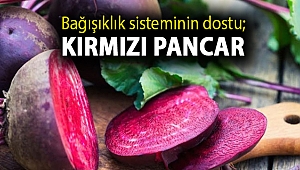 Bağışıklık sisteminin dostu; Kırmızı Pancar