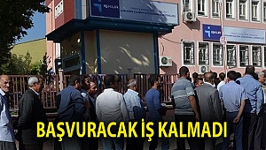 Başvuracak iş kalmadı