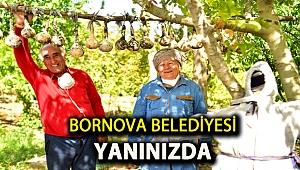 Bornova Belediyesi yanınızda