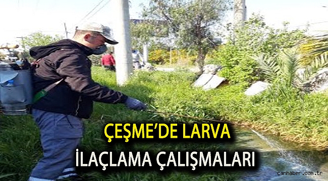 Çeşme’de larva ilaçlama çalışmaları