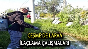 Çeşme’de larva ilaçlama çalışmaları