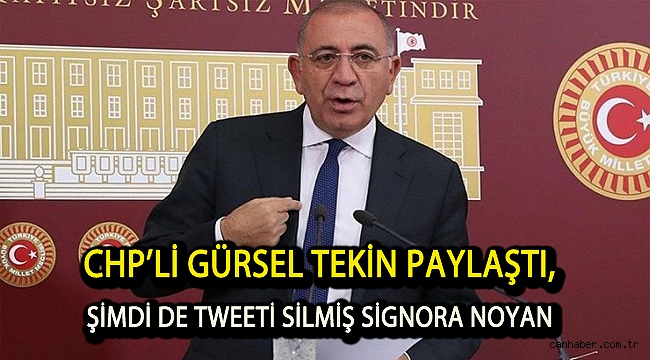 CHP’li Gürsel Tekin paylaştı, Şimdi de tweeti silmiş Signora Noyan