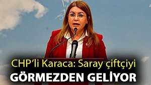 CHP’li Karaca: Saray çiftçiyi görmezden geliyor