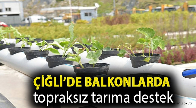Çiğli’de balkonlarda topraksız tarıma destek