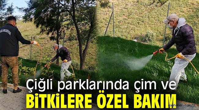 Çiğli parklarında çim ve bitkilere özel bakım